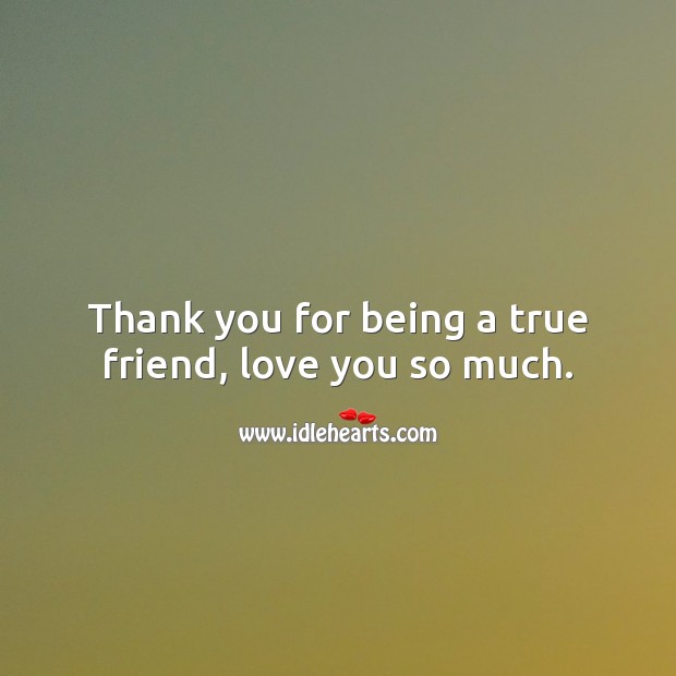 Thank you for being a true friend, love you so much. Love You So Much Quotes Image