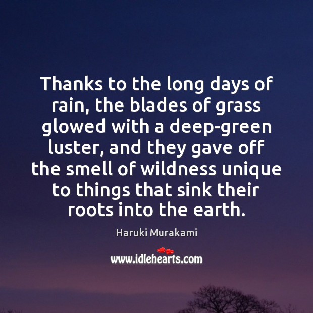 Thanks to the long days of rain, the blades of grass glowed Haruki Murakami Picture Quote