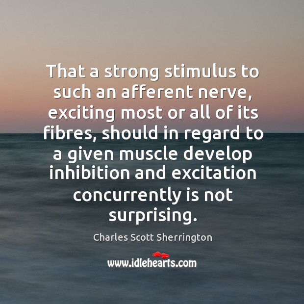 That a strong stimulus to such an afferent nerve, exciting most or all of its fibres Charles Scott Sherrington Picture Quote