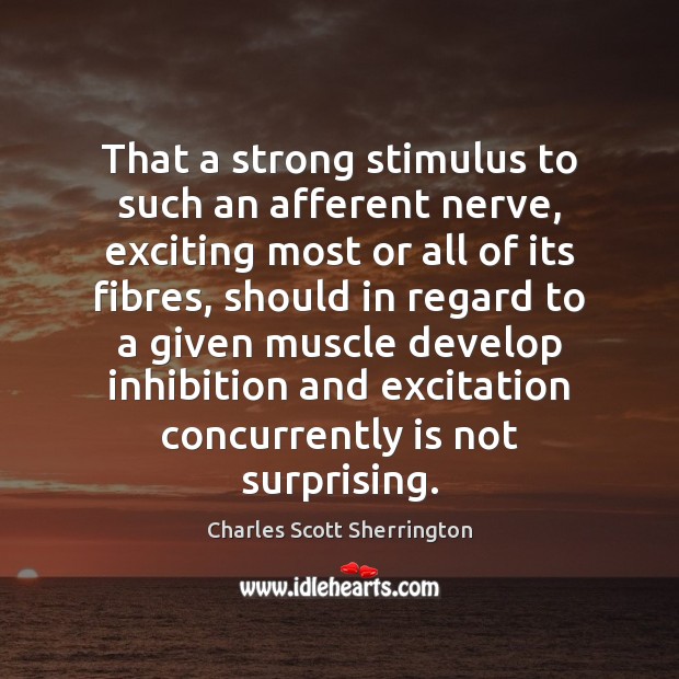 That a strong stimulus to such an afferent nerve, exciting most or Charles Scott Sherrington Picture Quote