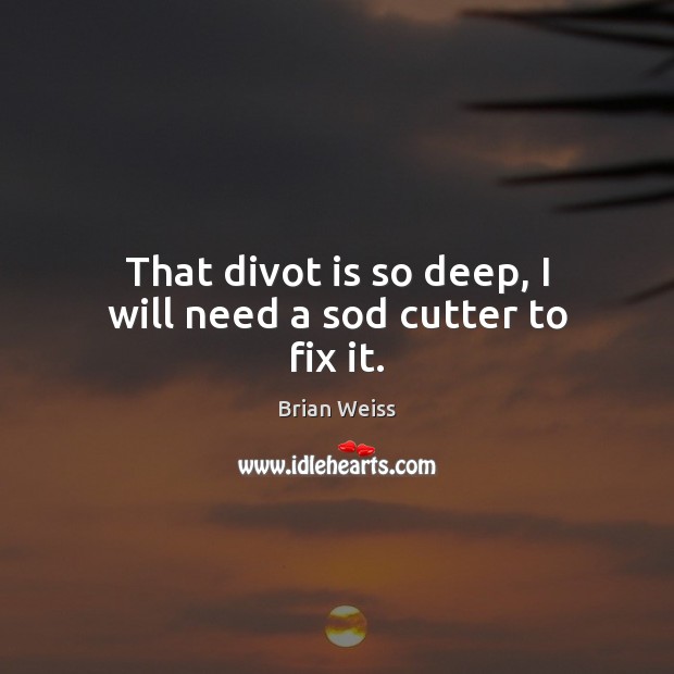 That divot is so deep, I will need a sod cutter to fix it. Brian Weiss Picture Quote