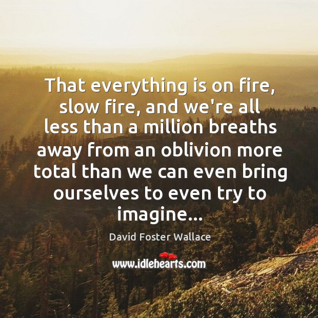 That everything is on fire, slow fire, and we’re all less than David Foster Wallace Picture Quote