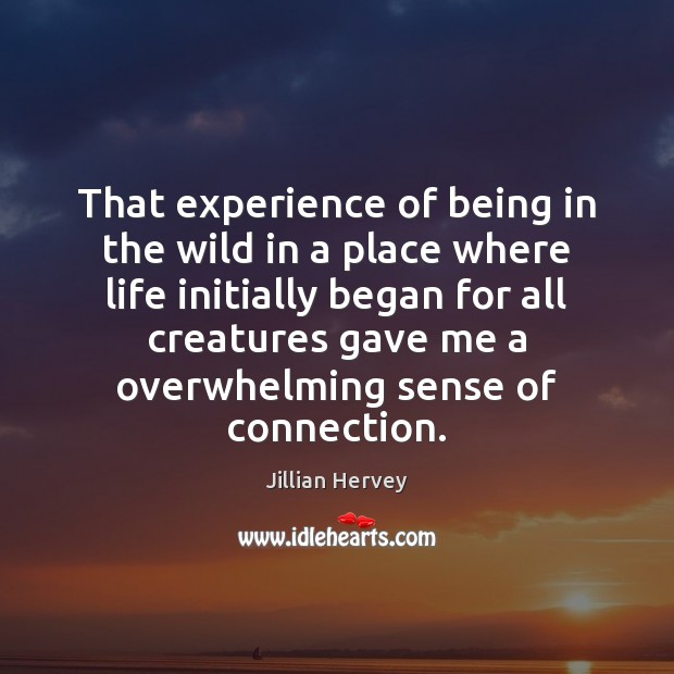 That experience of being in the wild in a place where life Jillian Hervey Picture Quote