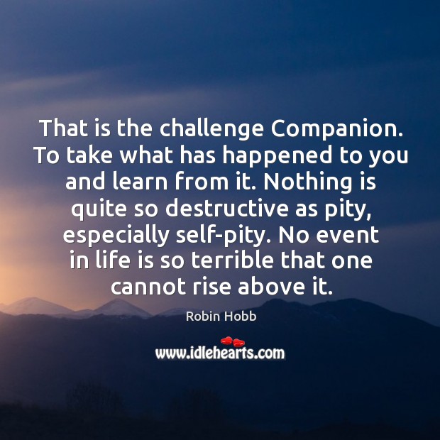 That is the challenge Companion. To take what has happened to you Robin Hobb Picture Quote