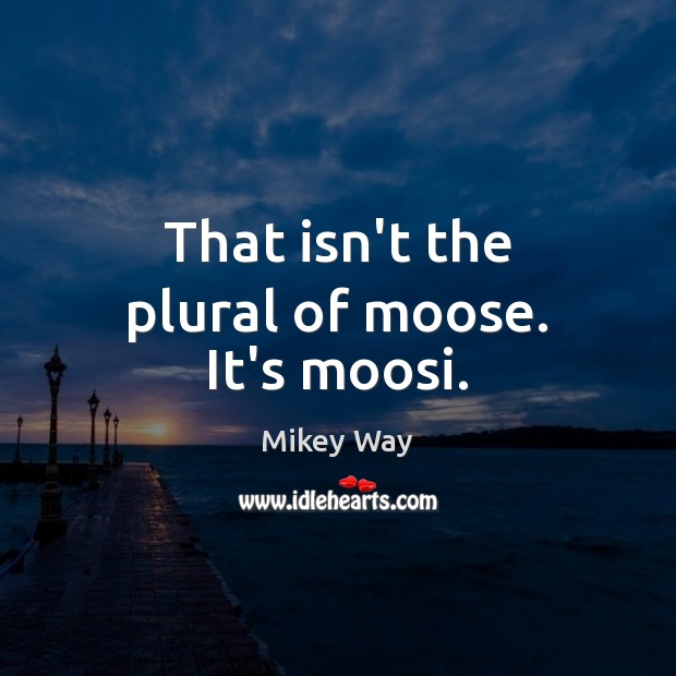 That isn’t the plural of moose. It’s moosi. Mikey Way Picture Quote