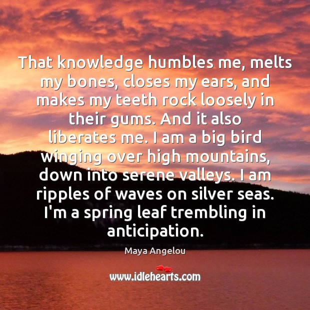 That knowledge humbles me, melts my bones, closes my ears, and makes Maya Angelou Picture Quote