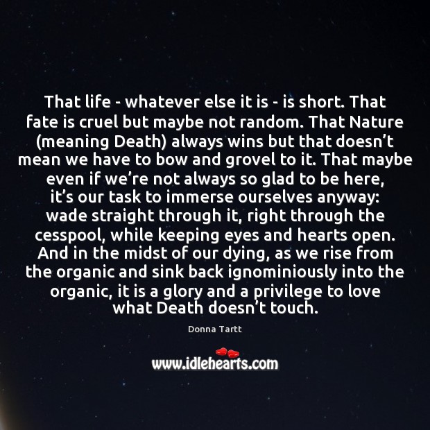 That life – whatever else it is – is short. That fate Donna Tartt Picture Quote