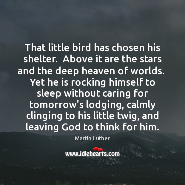 That little bird has chosen his shelter.  Above it are the stars Image