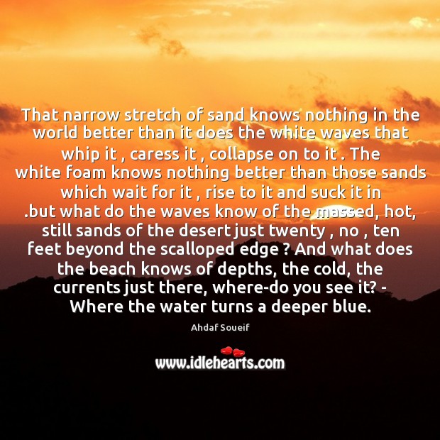 That narrow stretch of sand knows nothing in the world better than Ahdaf Soueif Picture Quote