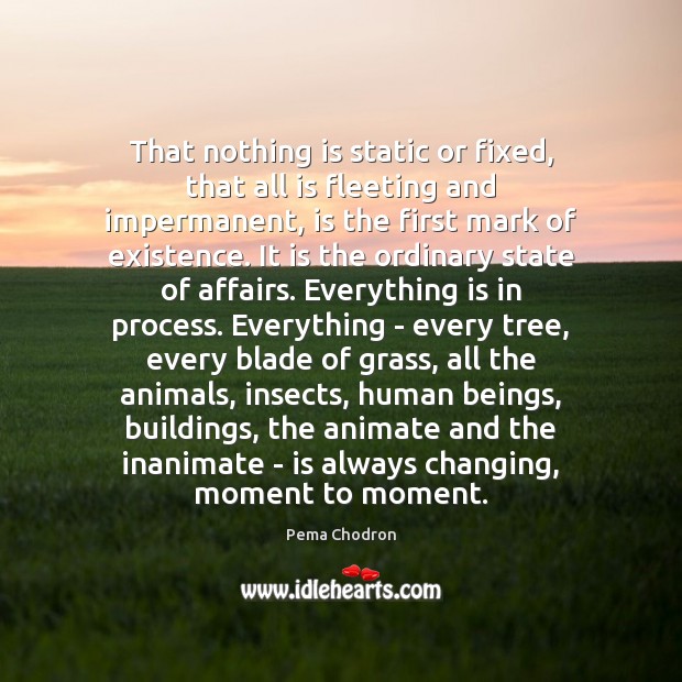 That nothing is static or fixed, that all is fleeting and impermanent, Pema Chodron Picture Quote