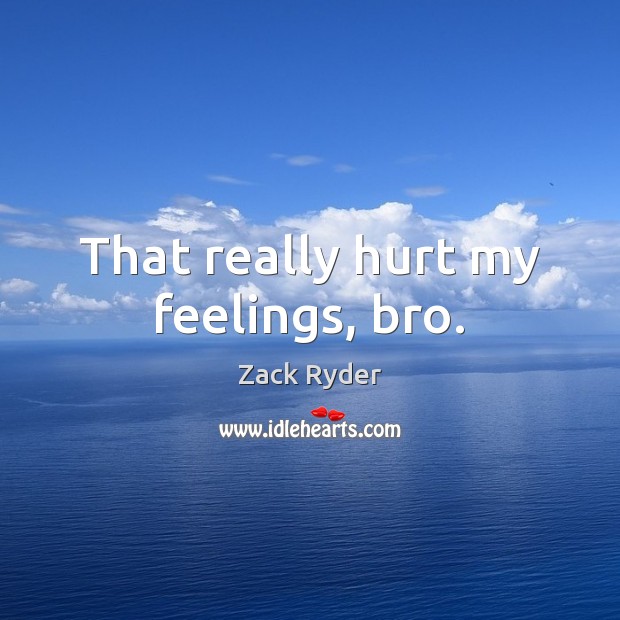 That really hurt my feelings, bro. Zack Ryder Picture Quote