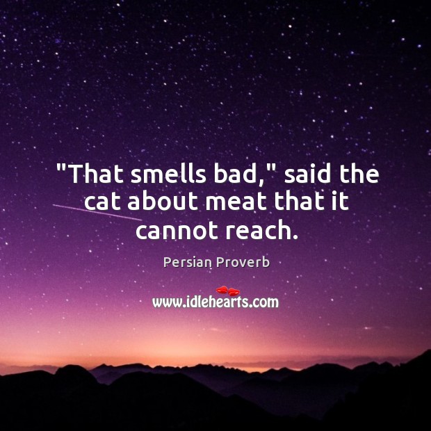 “that smells bad,” said the cat about meat that it cannot reach. Image