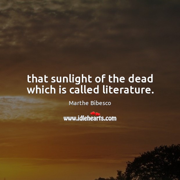 That sunlight of the dead which is called literature. Marthe Bibesco Picture Quote