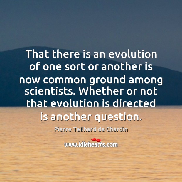 That there is an evolution of one sort or another is now Pierre Teilhard de Chardin Picture Quote
