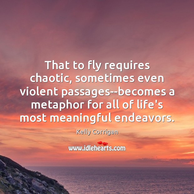 That to fly requires chaotic, sometimes even violent passages–becomes a metaphor for Kelly Corrigan Picture Quote