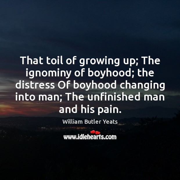 That toil of growing up; The ignominy of boyhood; the distress Of Image