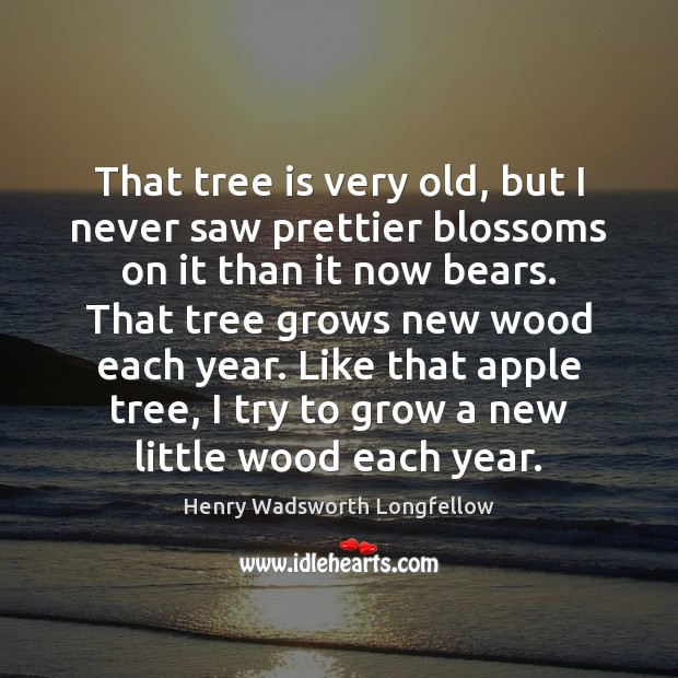 That tree is very old, but I never saw prettier blossoms on Henry Wadsworth Longfellow Picture Quote