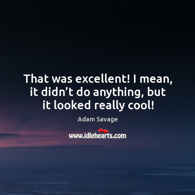 That was excellent! I mean, it didn’t do anything, but it looked really cool! Adam Savage Picture Quote