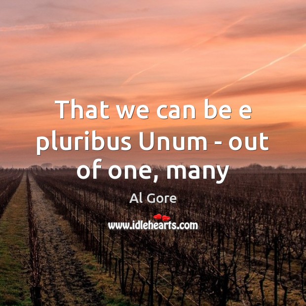 That we can be e pluribus Unum – out of one, many Al Gore Picture Quote