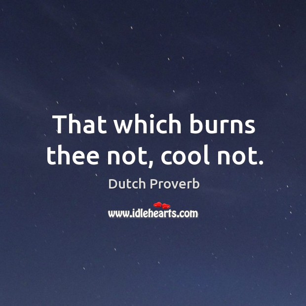 That which burns thee not, cool not. Dutch Proverbs Image