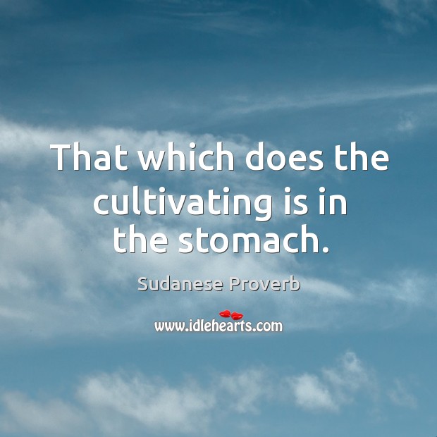 That which does the cultivating is in the stomach. Sudanese Proverbs Image