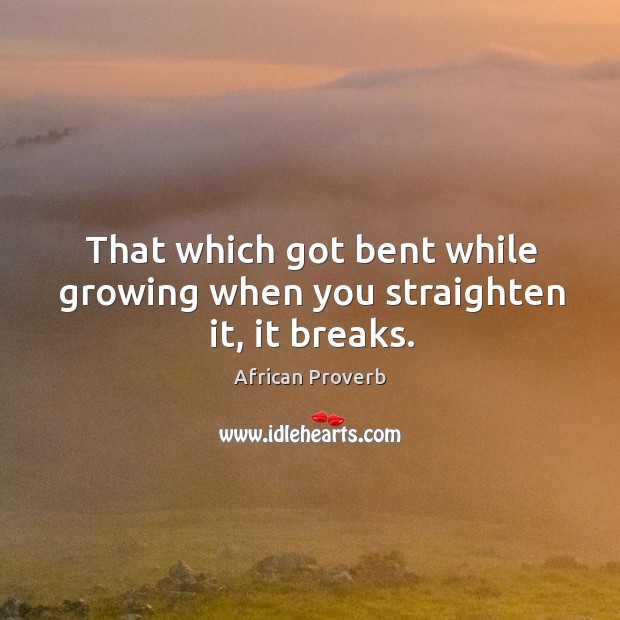 That which got bent while growing when you straighten it, it breaks. Image