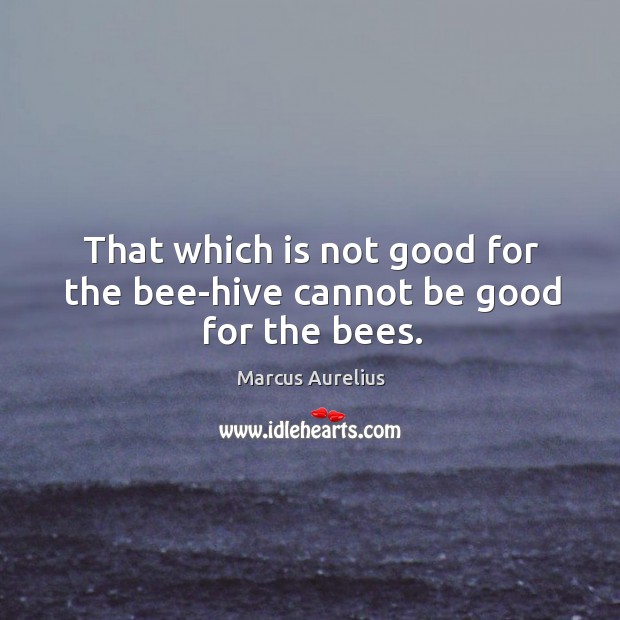 That which is not good for the bee-hive cannot be good for the bees. Marcus Aurelius Picture Quote