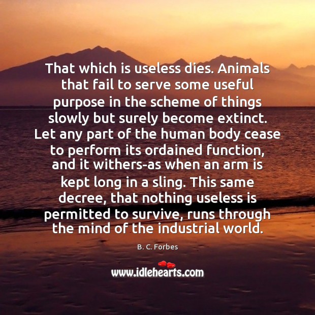 That which is useless dies. Animals that fail to serve some useful Fail Quotes Image