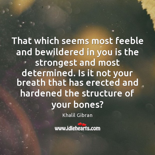 That which seems most feeble and bewildered in you is the strongest Khalil Gibran Picture Quote