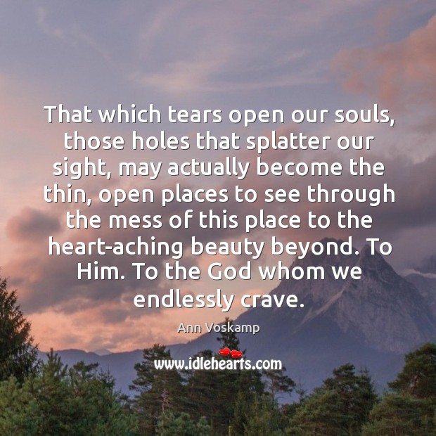 That which tears open our souls, those holes that splatter our sight, Ann Voskamp Picture Quote