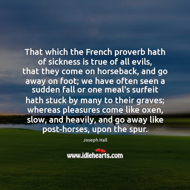 That which the French proverb hath of sickness is true of all Image