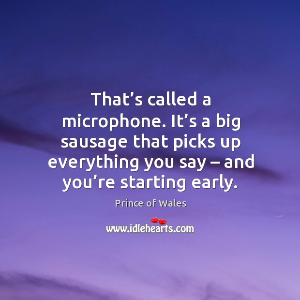That’s called a microphone. It’s a big sausage that picks up everything you say – and you’re starting early. Charles Picture Quote