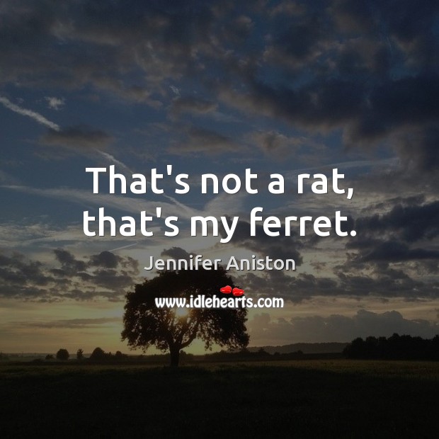 That’s not a rat, that’s my ferret. Jennifer Aniston Picture Quote
