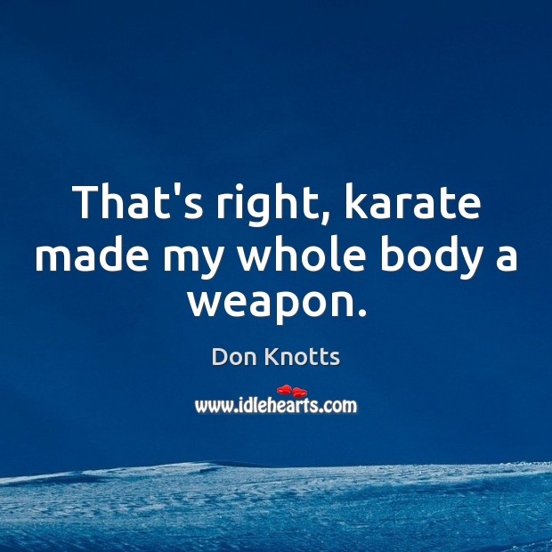That’s right, karate made my whole body a weapon. Don Knotts Picture Quote