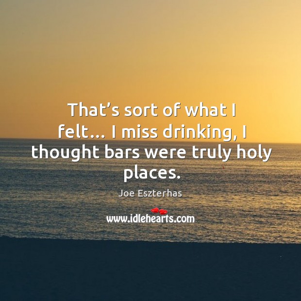 That’s sort of what I felt… I miss drinking, I thought bars were truly holy places. Image