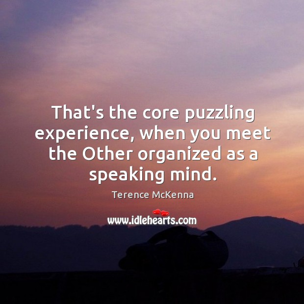 That’s the core puzzling experience, when you meet the Other organized as a speaking mind. Image