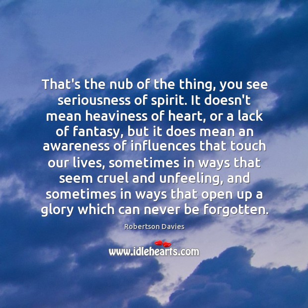 That’s the nub of the thing, you see seriousness of spirit. It Robertson Davies Picture Quote