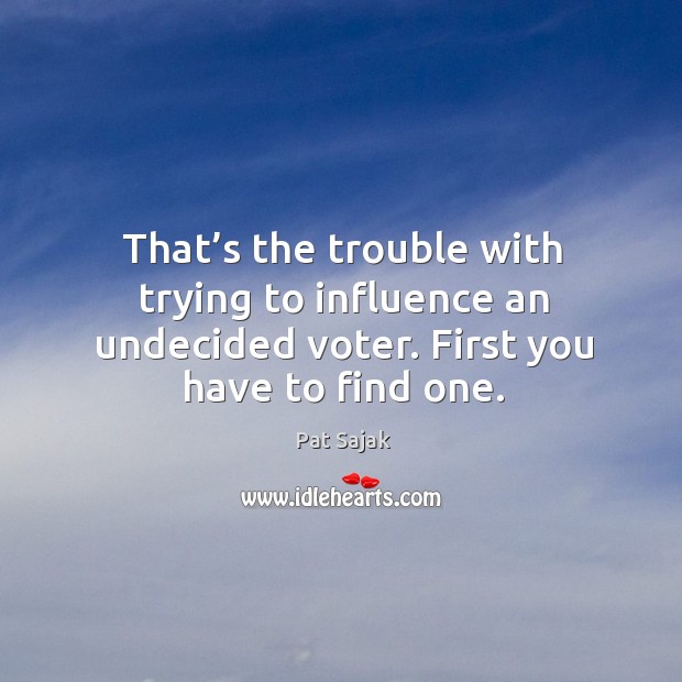 That’s the trouble with trying to influence an undecided voter. First you have to find one. Image