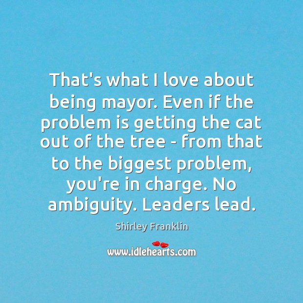 That’s what I love about being mayor. Even if the problem is Image