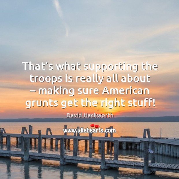 That’s what supporting the troops is really all about – making sure american grunts get the right stuff! David Hackworth Picture Quote