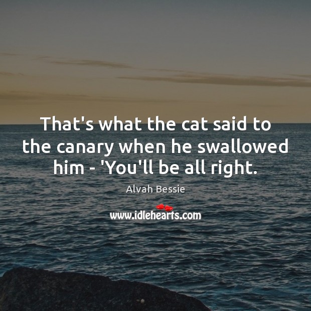 That’s what the cat said to the canary when he swallowed him – ‘You’ll be all right. Image