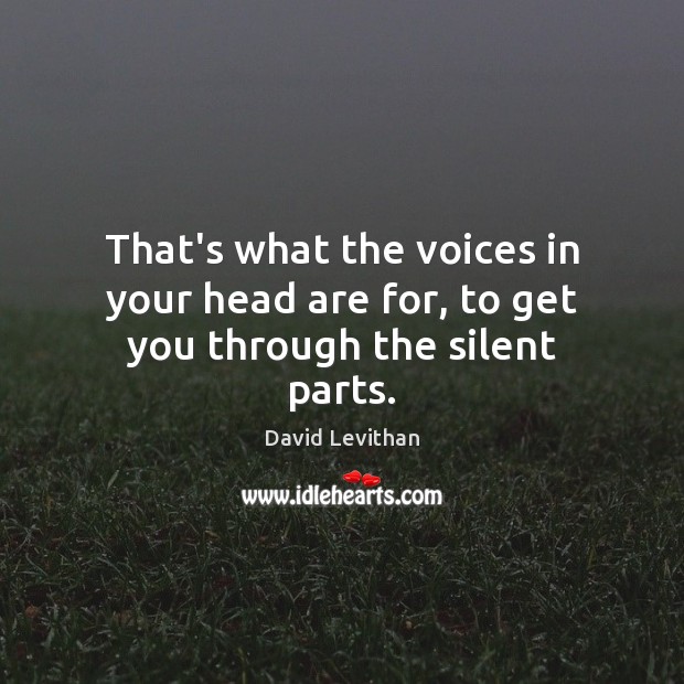That’s what the voices in your head are for, to get you through the silent parts. David Levithan Picture Quote