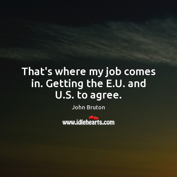 That’s where my job comes in. Getting the E.U. and U.S. to agree. John Bruton Picture Quote