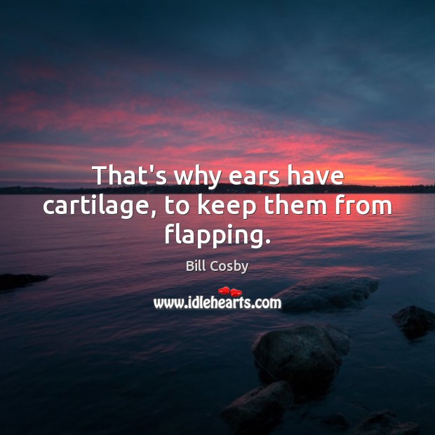 That’s why ears have cartilage, to keep them from flapping. Image