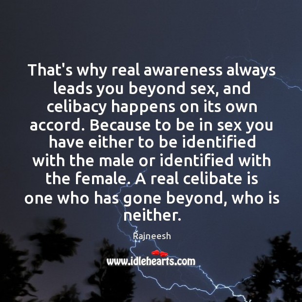 That’s why real awareness always leads you beyond sex, and celibacy happens Image