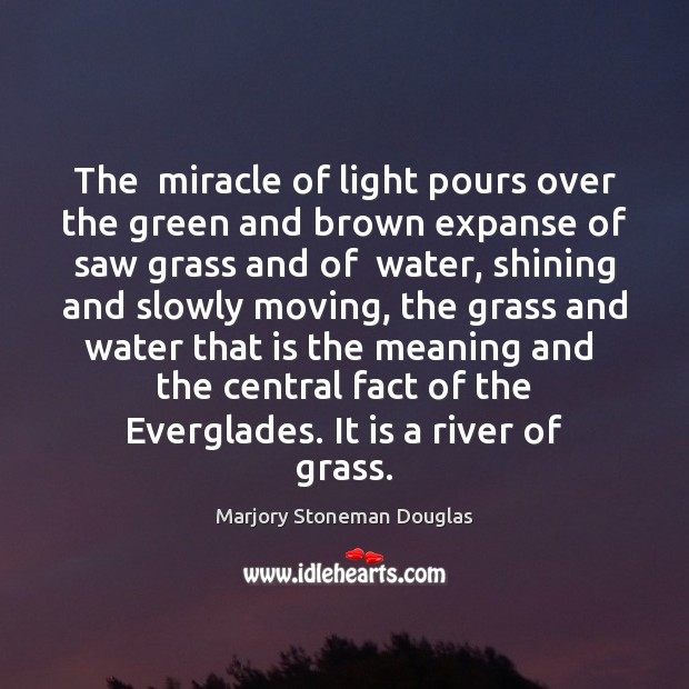 The  miracle of light pours over the green and brown expanse of Image