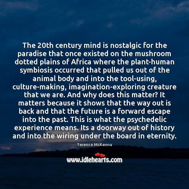 The 20th century mind is nostalgic for the paradise that once existed Terence McKenna Picture Quote