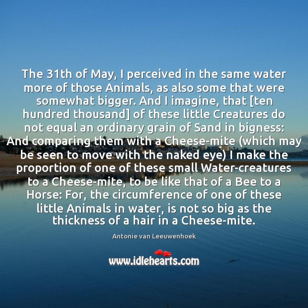 The 31th of May, I perceived in the same water more of Image