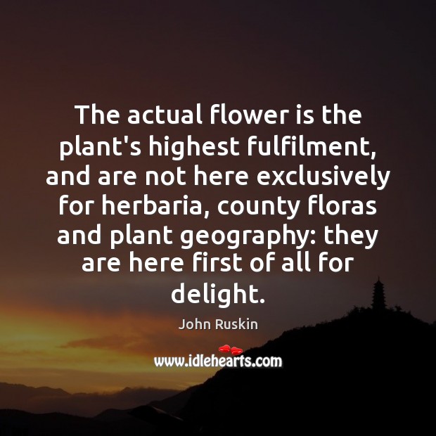 The actual flower is the plant’s highest fulfilment, and are not here John Ruskin Picture Quote