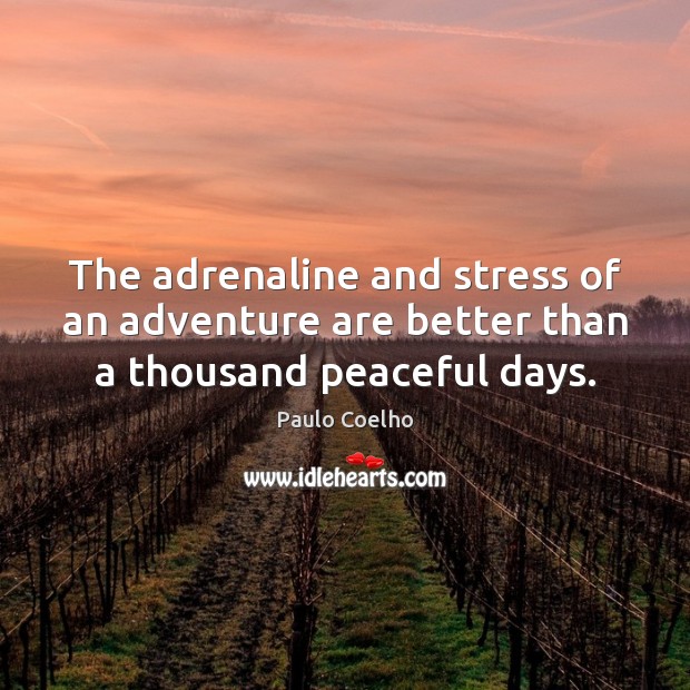 The adrenaline and stress of an adventure are better than a thousand peaceful days. Image